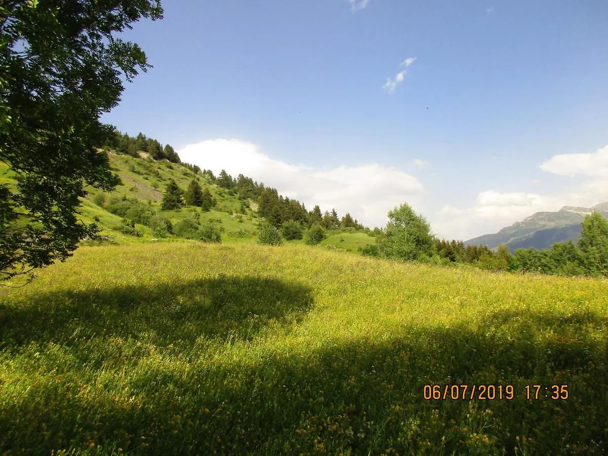 Chalet D'Alpage Du Folliex Attention Validez Votre Reservation Par Telephone Villa La Plagne 0*,  France